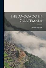 The Avocado In Guatemala 