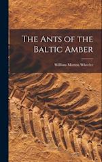 The Ants of the Baltic Amber 