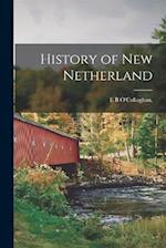 History of New Netherland 