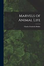 Marvels of Animal Life 