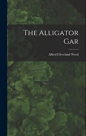 The Alligator Gar