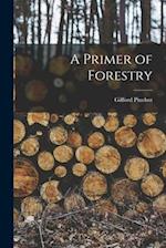 A Primer of Forestry 