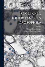 Sex-Linked Inheritance in Drosophila 