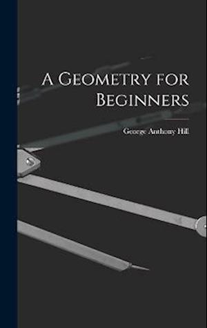 A Geometry for Beginners