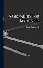 A Geometry for Beginners 