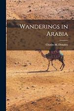 Wanderings in Arabia 