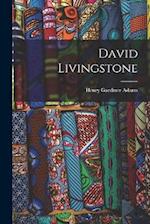 David Livingstone 