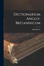 Dictionarium Anglo-britannicum 
