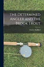 The Determined Angler and the Brook Trout 