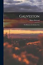 Galveston: The Horrors of a Stricken City 