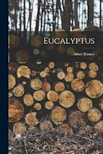 Eucalyptus 