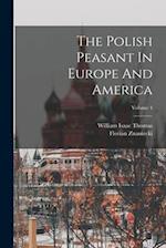 The Polish Peasant In Europe And America; Volume 4 