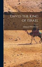 David the King of Israel 