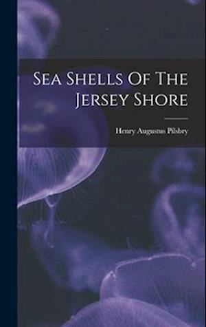 Sea Shells Of The Jersey Shore