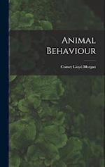Animal Behaviour 