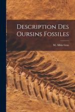 Description Des Oursins Fossiles