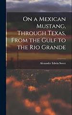 On a Mexican Mustang, Through Texas, From the Gulf to the Rio Grande 