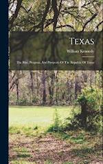 Texas: The Rise, Progress, And Prospects Of The Republic Of Texas 