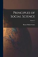 Principles of Social Science; Volume 2 