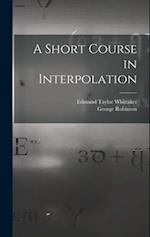 A Short Course in Interpolation 