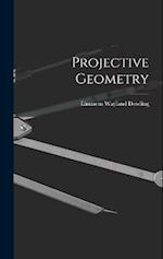 Projective Geometry 