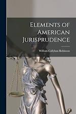 Elements of American Jurisprudence 