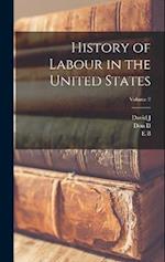 History of Labour in the United States; Volume 2 