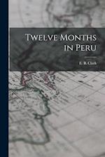 Twelve Months in Peru 