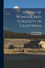 Scenes of Wonder and Curiosity in California 