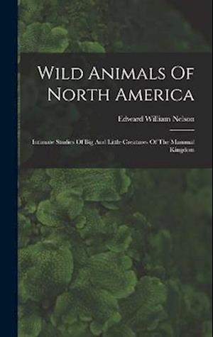 Wild Animals Of North America: Intimate Studies Of Big And Little Creatures Of The Mammal Kingdom