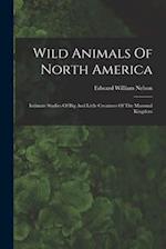 Wild Animals Of North America: Intimate Studies Of Big And Little Creatures Of The Mammal Kingdom 