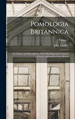 Pomologia Britannica: Or, Figures and Descriptions of the Most Important Varieties of Fruit Cultivated in Great Britain; Volume 1 