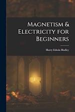 Magnetism & Electricity for Beginners 
