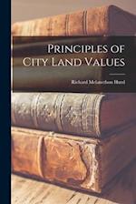 Principles of City Land Values 
