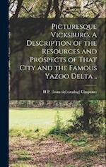 Picturesque Vicksburg. A Description of the Resources and Prospects of That City and the Famous Yazoo Delta .. 