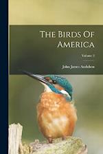 The Birds Of America; Volume 2 