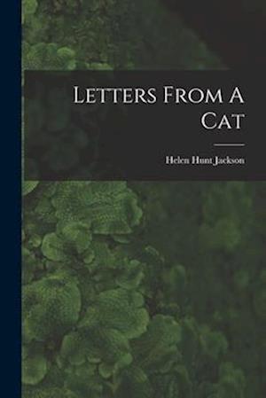 Letters From A Cat