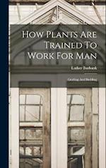 How Plants Are Trained To Work For Man: Grafting And Budding 