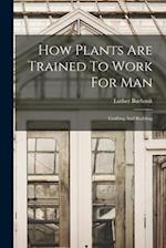 How Plants Are Trained To Work For Man: Grafting And Budding 