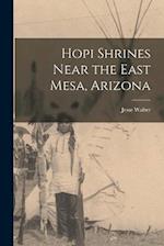 Hopi Shrines Near the East Mesa, Arizona 