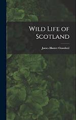 Wild Life of Scotland 