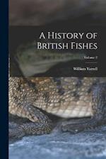 A History of British Fishes; Volume 2 