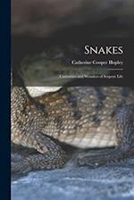 Snakes: Curiosities and Wonders of Serpent Life 