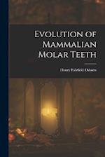 Evolution of Mammalian Molar Teeth 