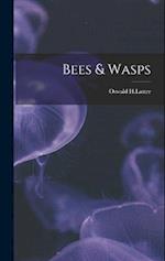 Bees & Wasps 