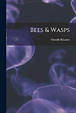 Bees & Wasps 