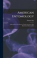 American Entomology: A Description of the Insects of North American, With Illustrations Drawn and C 