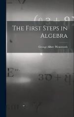 The First Steps in Algebra 