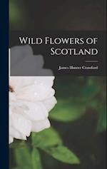 Wild Flowers of Scotland 