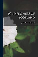 Wild Flowers of Scotland 